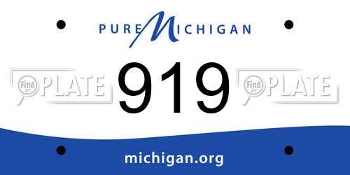 919 Michigan License Plate
