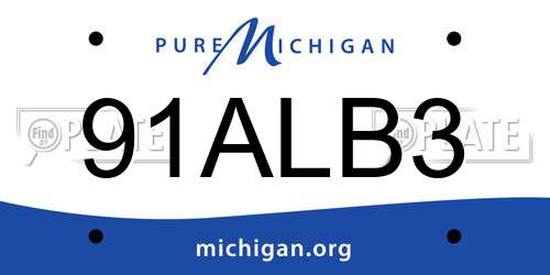 91ALB3 Michigan License Plate