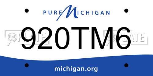920TM6 Michigan License Plate