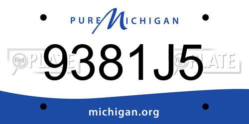 9381J5 Michigan License Plate