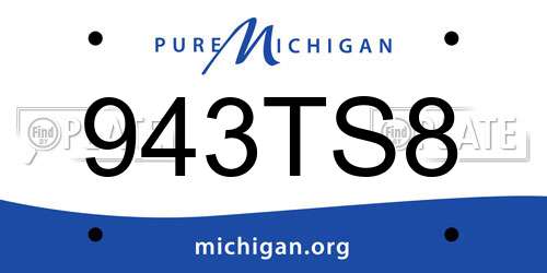 943TS8 Michigan License Plate