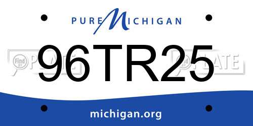 96TR25 Michigan License Plate