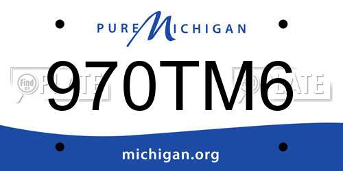 970TM6 Michigan License Plate