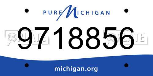 9718856 Michigan License Plate