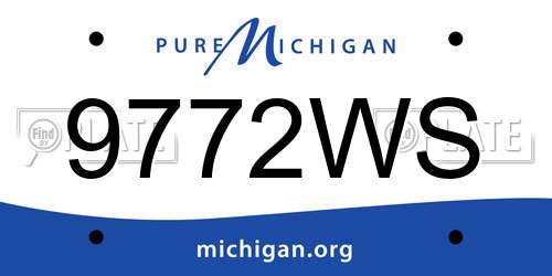 9772WS Michigan License Plate