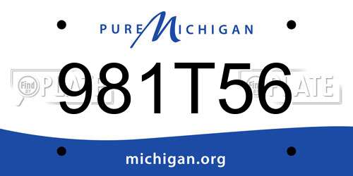981T56 Michigan License Plate