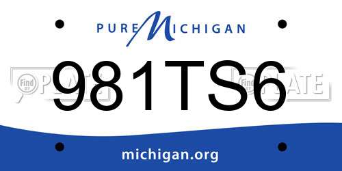 981TS6 Michigan License Plate