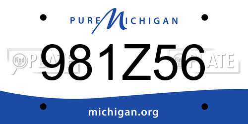 981Z56 Michigan License Plate