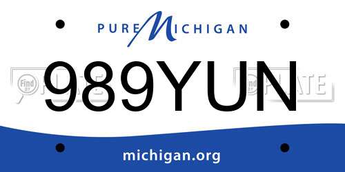 989YUN Michigan License Plate