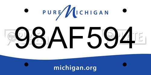 98AF594 Michigan License Plate