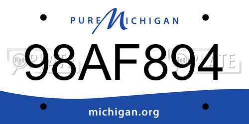 98AF894 Michigan License Plate