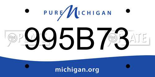 995B73 Michigan License Plate