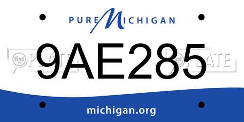 9AE285 Michigan License Plate