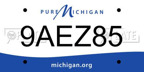 9AEZ85 Michigan License Plate