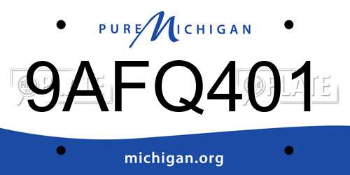 9AFQ401 Michigan License Plate