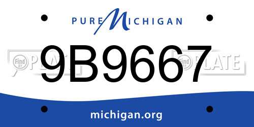 9B9667 Michigan License Plate