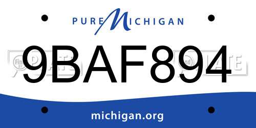 9BAF894 Michigan License Plate
