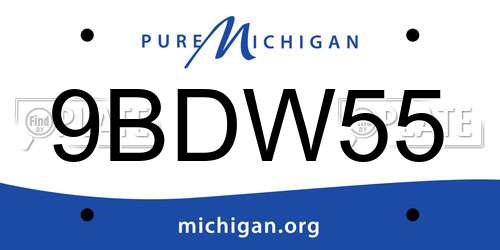 9BDW55 Michigan License Plate
