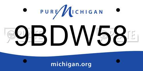 9BDW58 Michigan License Plate