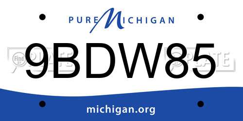 9BDW85 Michigan License Plate