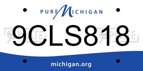 9CLS818 Michigan License Plate