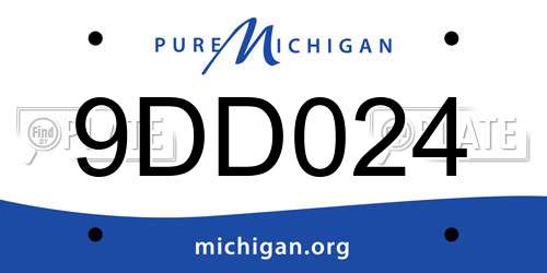 9DD024 Michigan License Plate