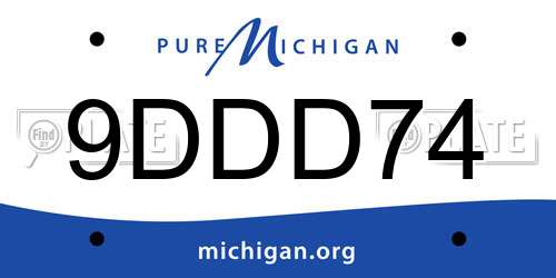 9DDD74 Michigan License Plate