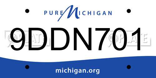 9DDN701 Michigan License Plate