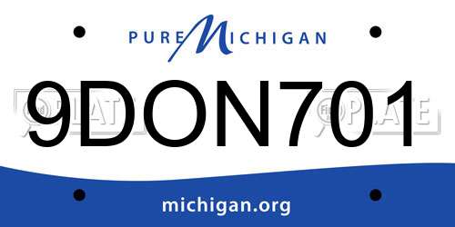 9DON701 Michigan License Plate