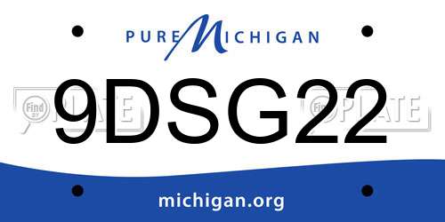 9DSG22 Michigan License Plate