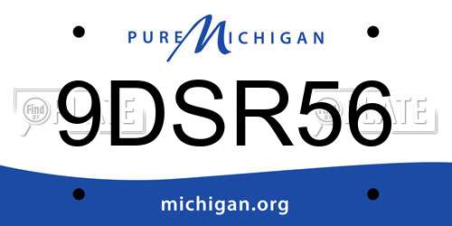 9DSR56 Michigan License Plate