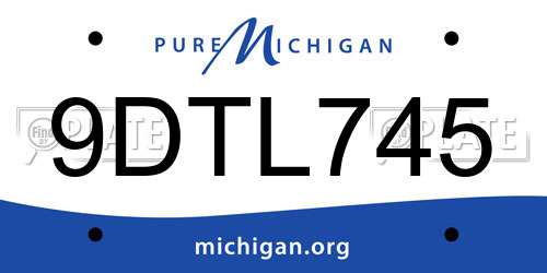 9DTL745 Michigan License Plate