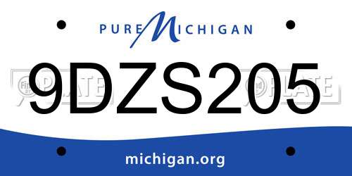 9DZS205 Michigan License Plate