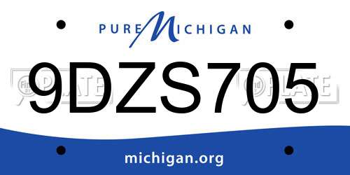 9DZS705 Michigan License Plate