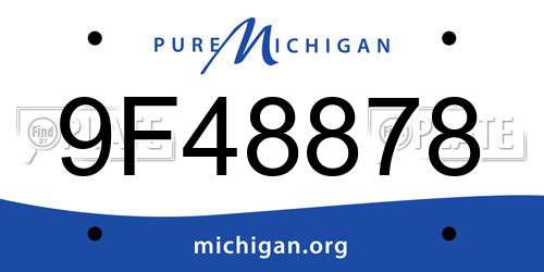 9F48878 Michigan License Plate