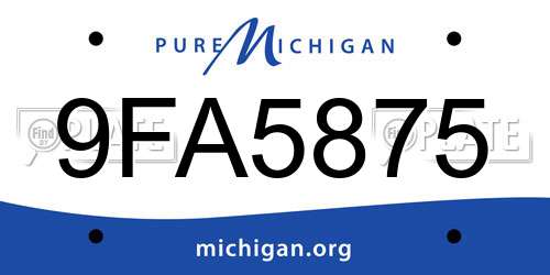 9FA5875 Michigan License Plate
