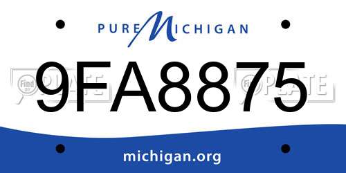 9FA8875 Michigan License Plate