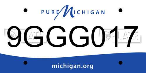 9GGG017 Michigan License Plate