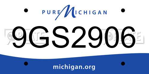 9GS2906 Michigan License Plate
