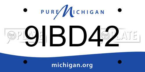 9IBD42 Michigan License Plate