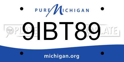 9IBT89 Michigan License Plate