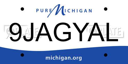 9JAGYAL Michigan License Plate