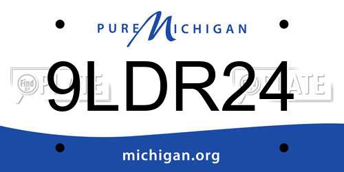9LDR24 Michigan License Plate