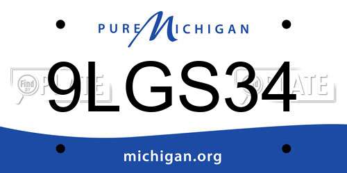 9LGS34 Michigan License Plate