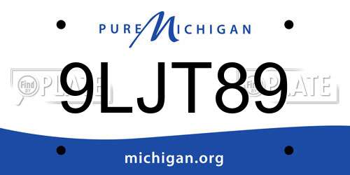 9LJT89 Michigan License Plate