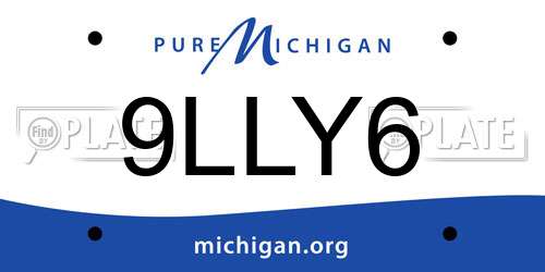 9LLY6 Michigan License Plate
