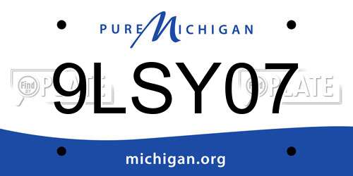 9LSY07 Michigan License Plate