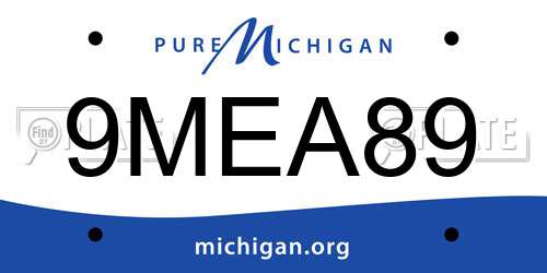 9MEA89 Michigan License Plate
