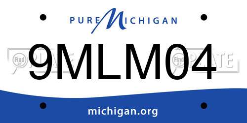 9MLM04 Michigan License Plate