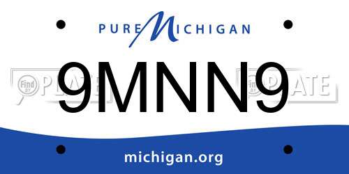9MNN9 Michigan License Plate